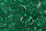 Flowery Polished Malachite Slab - DR Congo #360536-1